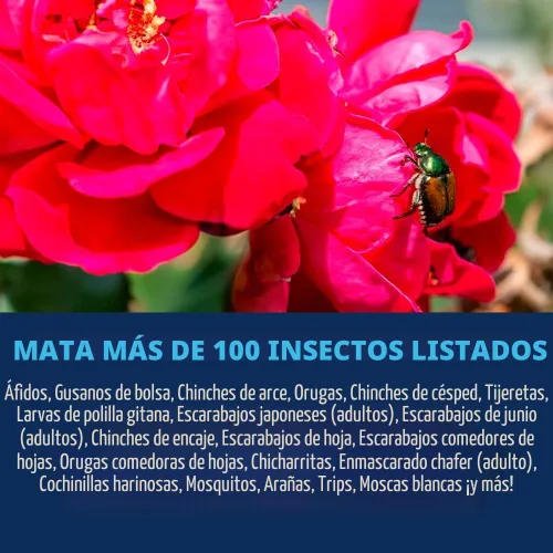 Vista 2 de BioAdvanced Asesino de insectos de rosas y flores, listo para usar, 24 onzas