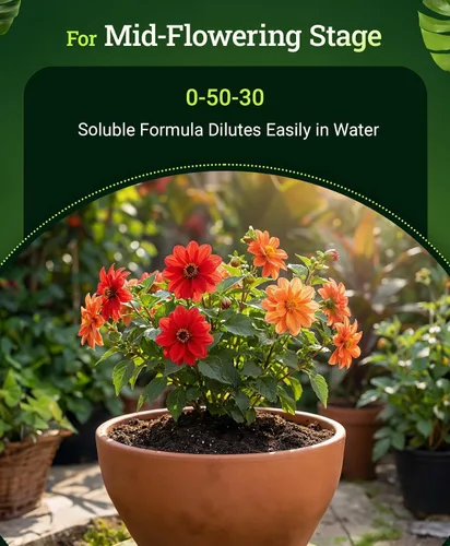 Vista 2 de Fox Farm Beastie Bloomz Fertilizante soluble – Fertilizante de alto fósforo para floración media a tardía, pH equilibrado – Apoya el desarrollo