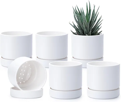 Vista 24 de Phoenix Vine 4 Inch Planter Pot with Drainage Hole & Saucer, Deep Water Catch Tray, Straight Cylindrical Round Pot for Plants, Olive, Pack of 1