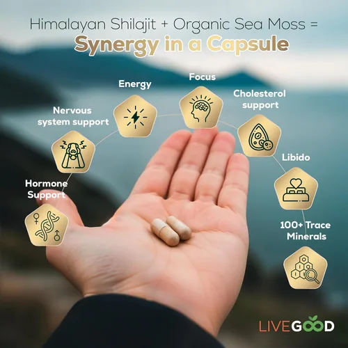 Vista 4 de LIVEGOOD Cápsulas de shilajit del Himalaya y musgo marino orgánico, ácido fúlvico orgánico, musgo marino y shilajit combo para apoyo de energía