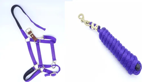 Vista 3 de Cabestro para caballo, nailon acolchado, separador de cuero, barbilla ajustable y broche de garganta, tamaño completo de caballo