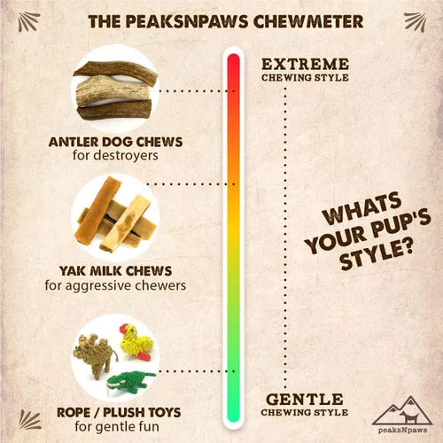 Vista 6 de peaksNpaws Cuernos de alce enteros de grado A totalmente naturales de alta calidad para perros, sin aditivos, sin conservantes, fabricadas