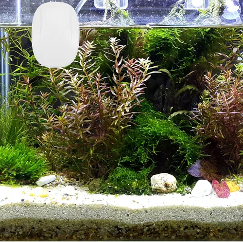 Vista 7 de Bomba de aire para tanque de peces USB, bomba de oxígeno silenciosa portátil para acuarios de plástico para acuarios de agua dulce e hidropónico