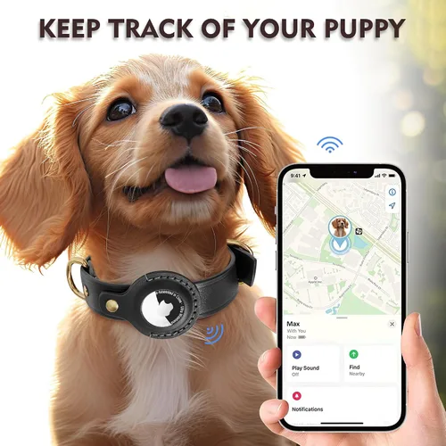 Vista 5 de AirTag Collar de perro – Collar de perro de cuero 100% genuino con soporte Apple AirTag, adecuado para perros pequeños, negro, S, tamaño ajustable