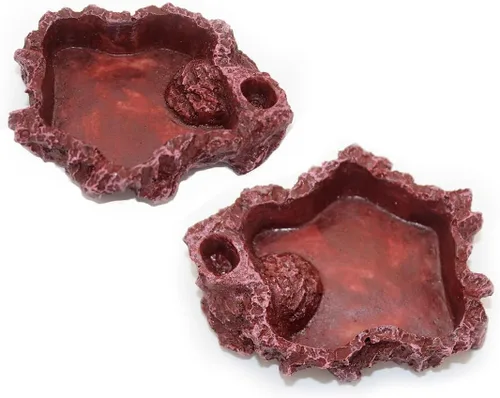 Vista 10 de OMEM Reptile Natural Bowl Plato de comida y agua hecho en resina (2 unidades, gris, S)