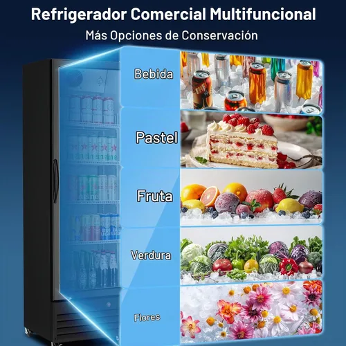 Vista 5 de BODEGA BODEGACOOLER - Refrigerador comercial de bebidas de 9 pies cúbicos con puerta de cristal, refrigeradores de bebidas para exhibición de Negro