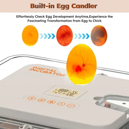 Vista 4 de Incubadora de 56 huevos, girador automático de huevos con vela LED, control inteligente de temperatura y humedad, recarga automática de agua, visión