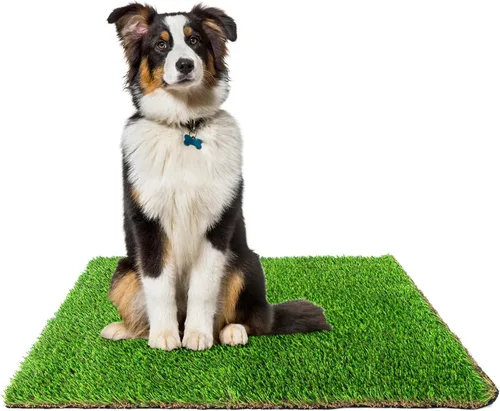 Vista 8 de Downtown Pet Supply Pasto de repuesto para orinal para perros, 16 x 20 pulgadas, almohadilla de césped sintético lavable para perros, adecuada como