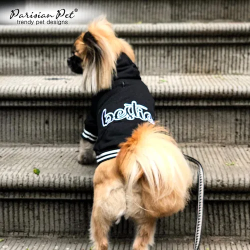 Vista 5 de Parisian Pet Sudadera básica con capucha para perro – Sudadera ligera estampada para perro – Sudadera con capucha para perros con agujero