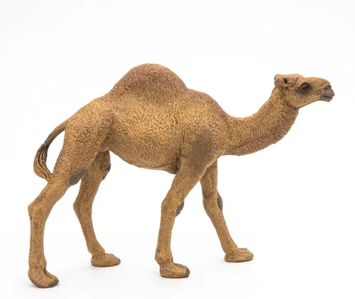 Vista 2 de Papo - Figura de dromedario realista - A partir de 3 años - Colección Wild Life - Juego educativo de animales del desierto - Juguete de idea