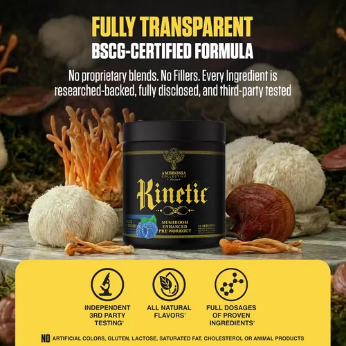 Vista 3 de Ambrosia Kinetic - Polvo orgánico para preentrenamiento Preentrenamiento natural mejorado con hongos Superalimento en polvo nootrópico