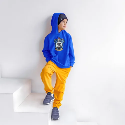 Vista 5 de Harry Potter Sudaderas con capucha Ravenclaw House Crest, Azul (Crest Blue)