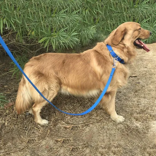 Vista 7 de Correa de Entrenamiento para Perros Impermeable 50 Pies 30 Pies 15 Pies 10 Pies 5 Pies Extra Resistente de Llamada Correa Larga para Perros Grandes