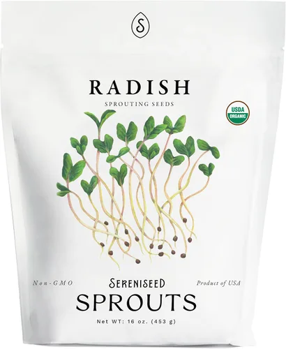 Vista 4 de Semillas de alfalfa orgánicas para brotes (16 oz) – Sin OMG, semillas de herencia para brotes y microverdes