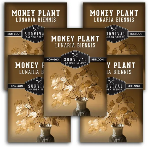 Vista 12 de Survival Garden Seeds Semillas de plantas de dinero para plantar, 1 paquete con instrucciones para cultivar Lunaria Annua en el jardín de tu casa