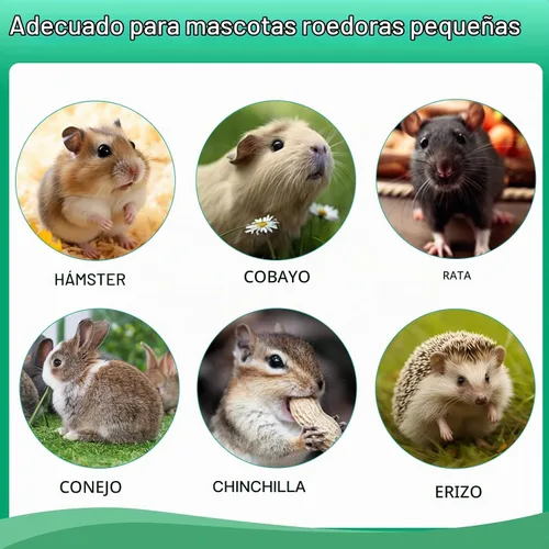 Vista 7 de WDEFUN Juego de juguetes naturales para masticar para mascotas, 20 palitos de heno Timothy, 20 ramas de manzano, 5 bambú dulce, juguetes