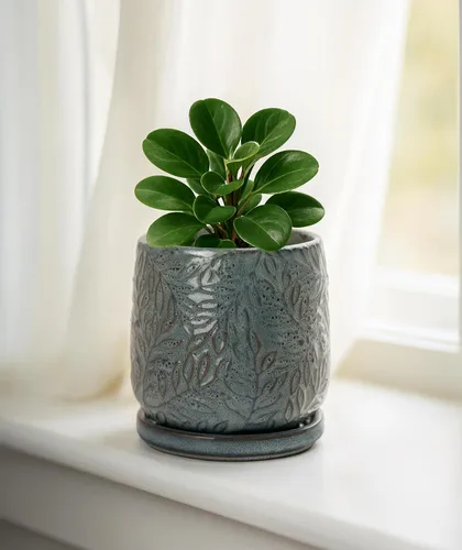 Vista 7 de D'vine Dev Maceta de gres con hojas en relieve de 4 pulgadas con orificio de drenaje y platillo, azul grafito, 27-A-Z-9 Nature-Inspired Leaf