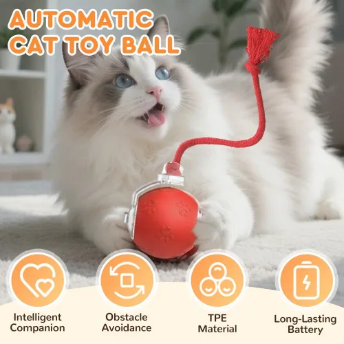 Vista 2 de Juguete interactivo para gatos, juguetes para gatos de interior, juguete automático de bola, juguete de bola de persecución para gatos con cola