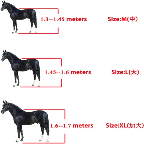 Vista 5 de Zerodis Botas de tendón de caballo, 4 unidades, botas protectoras de pezuña de caballo, ligeras, ajustables, botas de frente abierto, botas equinas