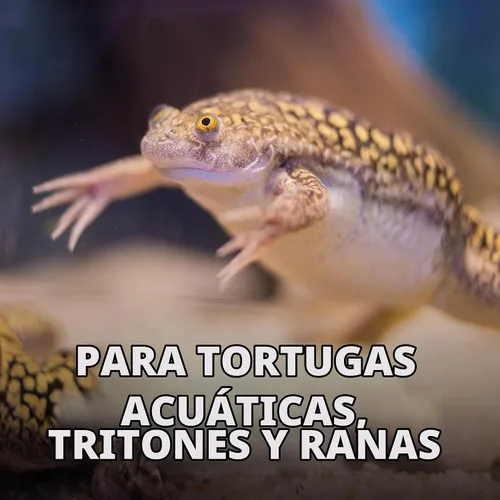 Vista 6 de Tetra TetraFauna Reptomin Gammarus Baby Gambas Treat, 6
