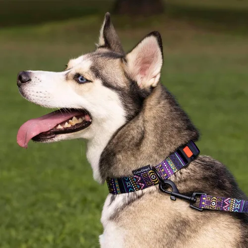 Vista 7 de CollarDirect Correa para perro duradera para mascotas, para caminar, entrenar y correr para pequeña, mediana y grande (patrón étnico, verde, L)