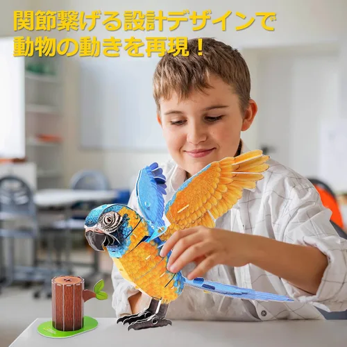 Vista 3 de ASSYME DS1097h Macaw Papercraft, No Glue Tools, Elementary School Students, Craft Kit, Easy for Ages 8 and Up