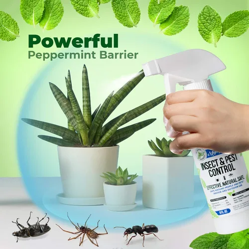 Vista 3 de Aceite de menta para control de insectos y plagas de 8 oz - Spray natural para arañas, hormigas y más (2)