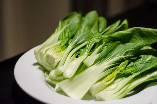 Vista 4 de Semillas Chino Col Bok Choy Heirloom Vegetales No OGM