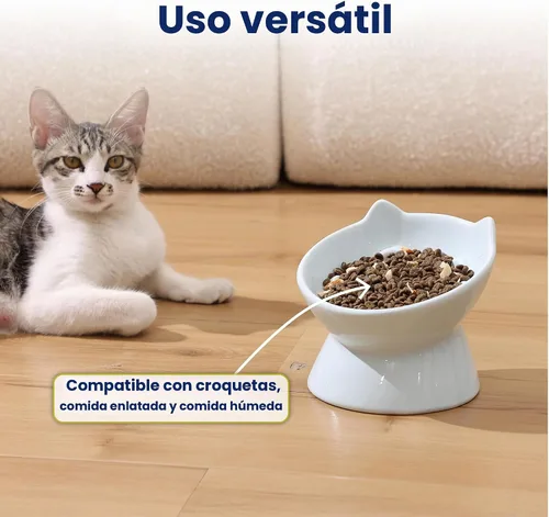 Vista 6 de PawsPik Lynx - Cuenco elevado de cerámica para perros y gatos, color azul Azul cielo