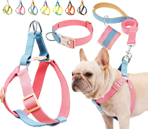 Vista 10 de Juego de arnés y correa para perro sin tirones, collar de perro, arnés halter para perro con soporte para bolsa de excrementos, correas ajustables