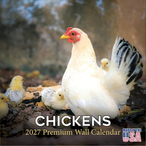 Vista 41 de Calendario de grises africanos 2025 2026 – Planificador mensual de pared de aves africanas – 12 x 18 pulgadas (abierto), calendario de pared