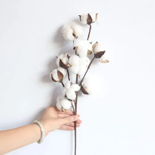 Vista 4 de Tallos de algodón seco natural para jarrón, ramo de primavera y verano de 17 pulgadas, decoración del hogar o ramos de boda de bricolaje, 10 ramitas