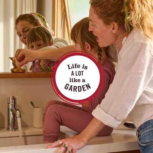 Vista 8 de Botella de limpiador de vidrio Mrs. Meyer's Clean Day, aroma a lavanda, 24 fl oz (Paquete de 1)
