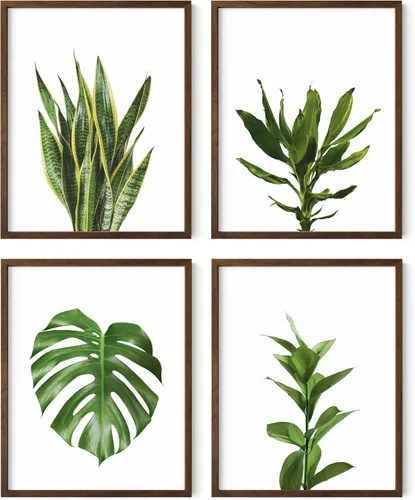 Vista 70 de HAUS AND HUES Arte de pared floral gris, juego de 4 pósteres de plantas para pared vintage, impresiones botánicas, cuadros de flores en blanco