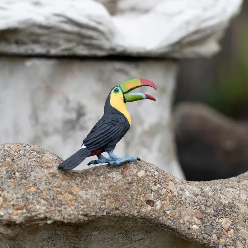 Vista 8 de Safari Ltd. Figura de pájaro realista de 2.75 pulgadas, juguete educativo para niños, niñas y niños a partir de 3 años