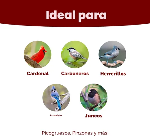 Vista 2 de Kaytee Wild Bird Songbird Blend Semillas para Pájaros, 5 Libras