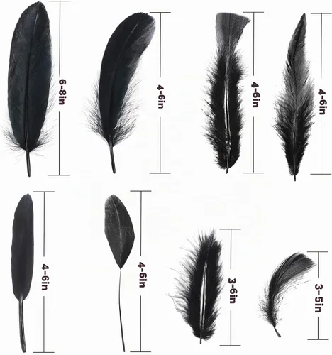 Vista 3 de MARFOREVER 320 plumas negras de Halloween a granel 8 estilos de plumas Negro
