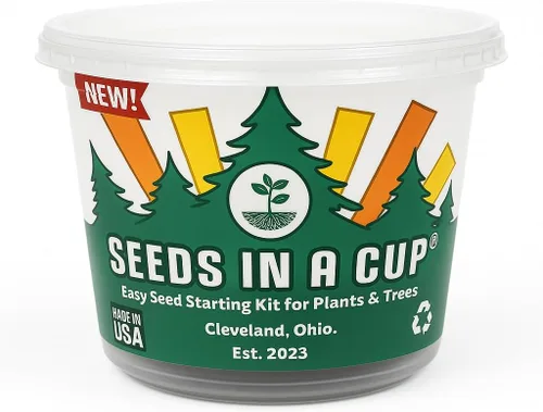 Vista 7 de Semillas en una taza - Kit de cultivo de plantas (espárragos)