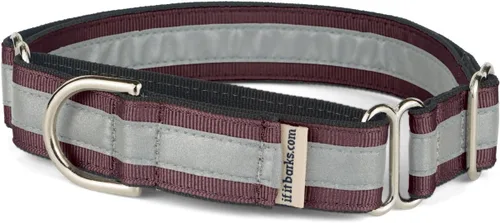 Vista 16 de If It Barks Collar Martingala reflectante de 1" para perros, ajustable, fabricado en Estados Unidos, pequeño, oro amarillo Amarillo Oro