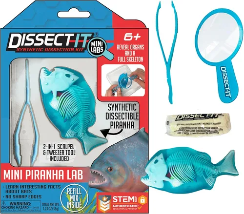 Vista 15 de Discover-It Kit de disección para niños, kit de laboratorio científico de ámbar sintético para aprender sobre insectos, juguetes científicos