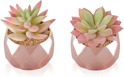 Vista 10 de Tiita Paquete de 4 Suculentas Artificiales Falsas en Macetas, Mini Plantas Falsas de Oro Rosa para Escritorio de Mujer, Pequeñas Suculentas Falsas