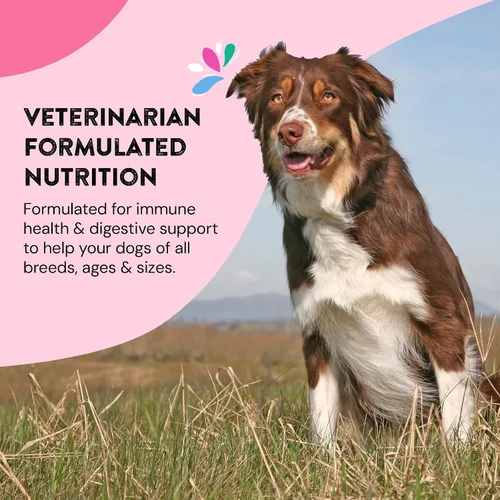 Vista 6 de Suplementos de cadera y articulaciones para perros Ayuda a la salud articular y a la movilidad para perros en recuperación y adultos mayores
