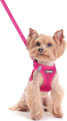 Vista 125 de rabbitgoo Arnés para perro de tamaño pequeño y juego de correa, chaleco Cachorros de manzana