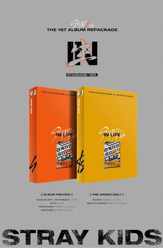 Vista 2 de STRAY KIDS - ENTRE (en la vida) [Standard Ver. - Tipo aleatorio] (1er álbum de reempaque) [Pre-Order] CD+Photobook+Póster plegado+Beneficio
