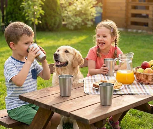 Vista 6 de CHILLOUT LIFE Vasos de acero inoxidable para niños y adultos de 12 onzas – Vasos de metal apilables para el hogar y actividades al aire libre, sin