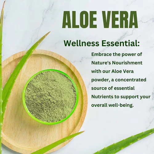 Vista 8 de Aloe Vera en polvo orgánico – 227 g (8 oz) Aloe Vera en polvo para cabello y cara Aloe Barbadensis AloeVera, cuidado natural del cabello