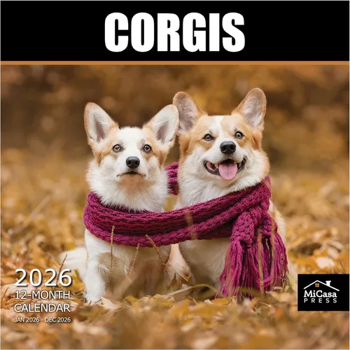 Vista 103 de MICASA PRESS Calendario de pared de Australian Shepherds Aussies 2027 02 - Pastores australianos