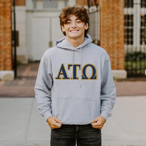 Vista 2 de Sudadera con capucha ATO con letras cosidas, Gris