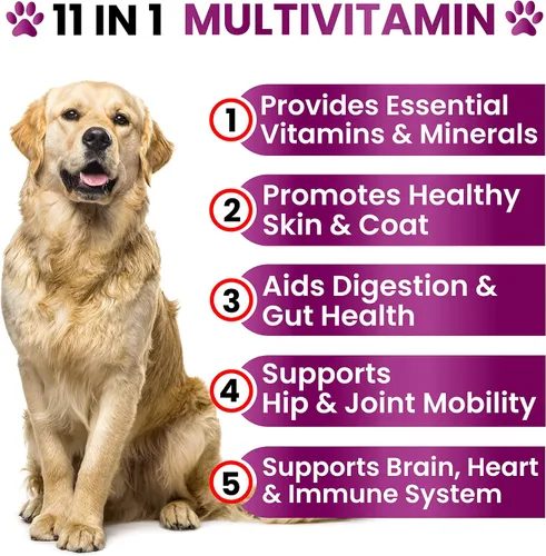 Vista 2 de Multivitamínico masticable con glucosamina para perros, vitaminas y suplementos para perros, multivitamínico para adultos mayores y cachorros