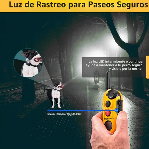 Vista 6 de E-Collar Educator EZ-900 - Collar de adiestramiento para perros con mando a